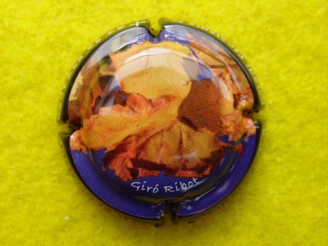 Photo de la capsule